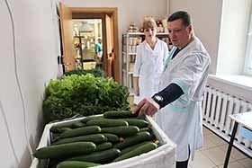 Детские сады Анадыря перешли на снабжение овощами местного производителя