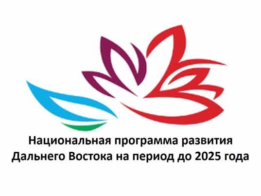 Жители Чукотки направили около 200 инициатив на портал дв2025.рф