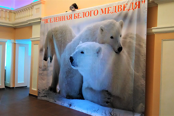 «Вселенная белого медведя» состоится в столице региона
