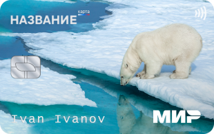 Универсальную электронную карту создадут для жителей Чукотки
