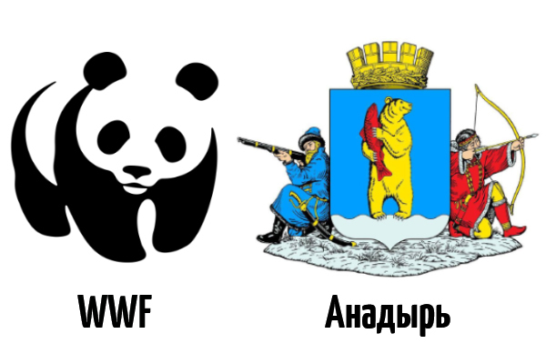 WWF России и столица Чукотки укрепляют сотрудничество