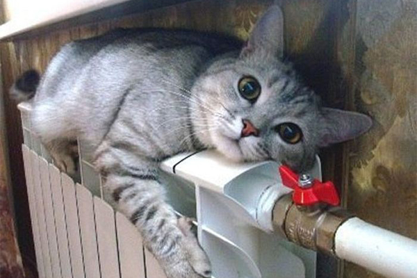 В Анадыре стартует отопительный сезон