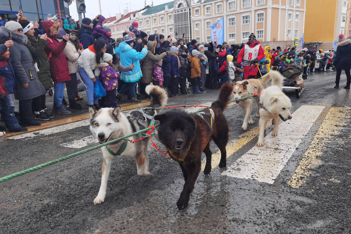 В Анадыре завершился последний этап гонки на собачьих упряжках «Надежда»