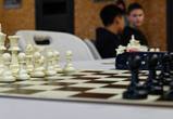 В Анадыре завершился кубок города по шахматам