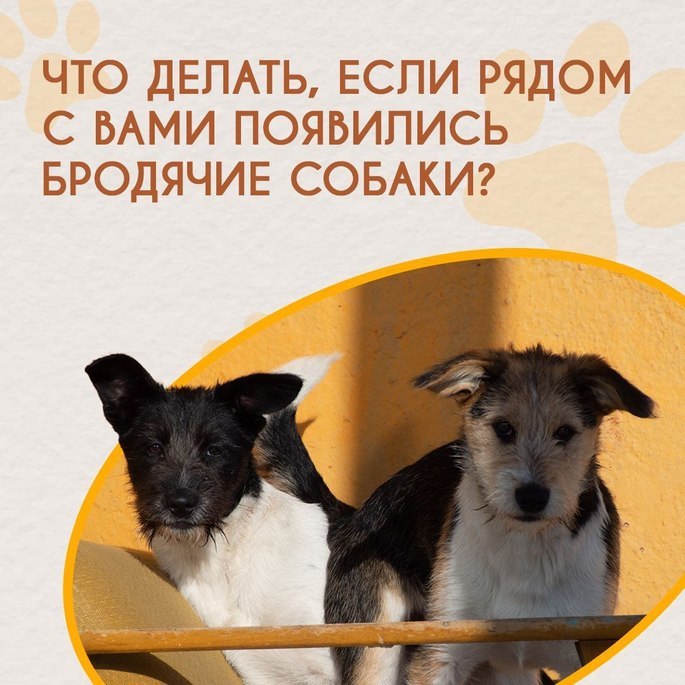 📢 Внимание, жители Чукотки!