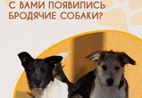 📢 Внимание, жители Чукотки!