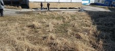 Photo 1 2025 06 17 17 13 14