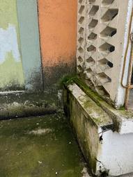 Photo 20 2025 07 31 15 35 44