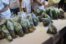 Photo 9 2025 09 22 10 13 10 Photo 9 2025 09 22 10 13 10