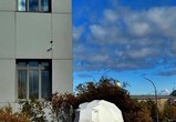 🐻‍❄️Медведь, который ранее жил возле центра «Мой бизнес», переехал на новое место обитания!