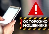 Осторожно мошенники!